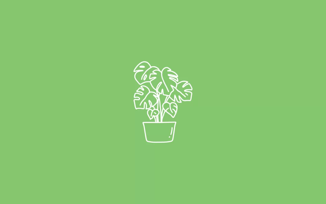 Creating a Green Oasis at Home