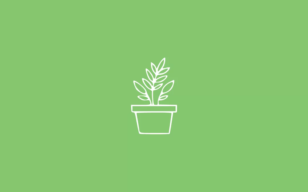 Gardening as a Stress-Reliever