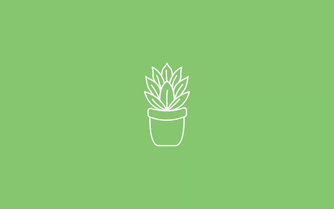 Herbs and Edible Plants
