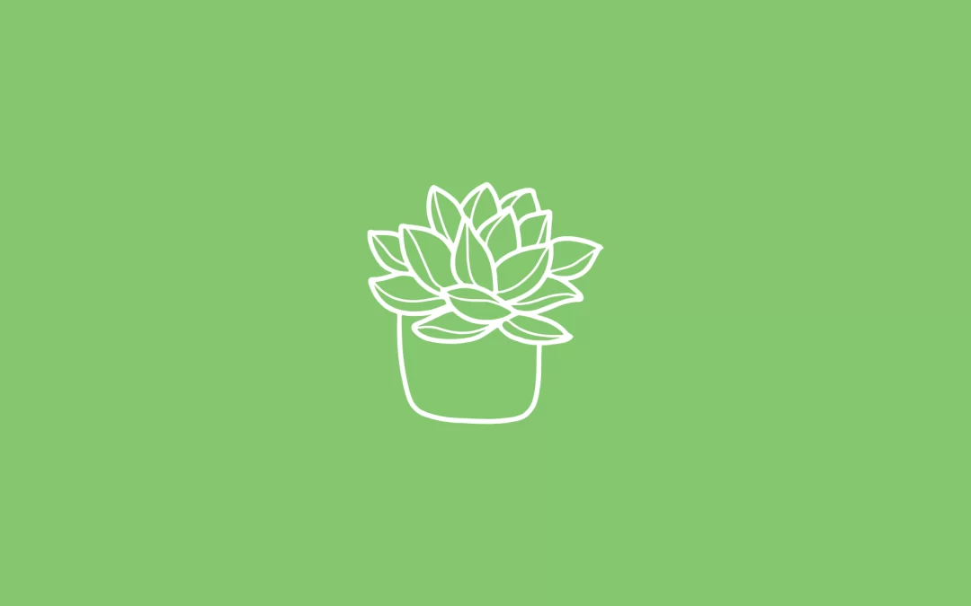 The Health Benefits of Indoor Plants