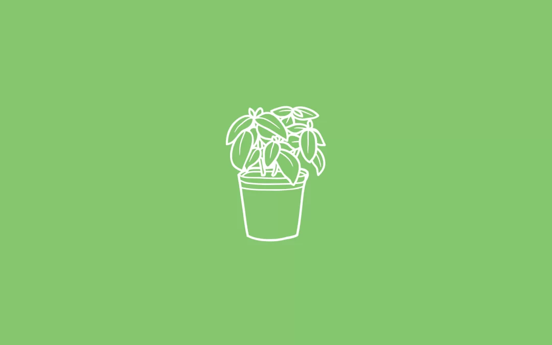 Using Home Care Products and Green Living