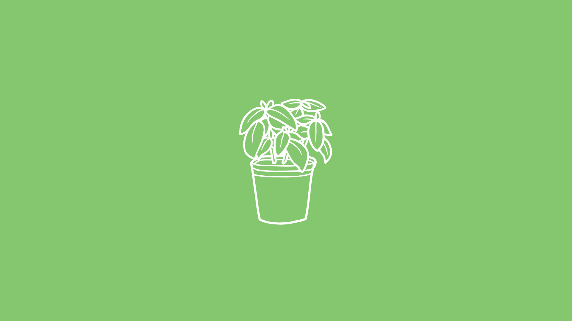 heart-goodness-green-thumb-living-essentials-using-home-care-products-and-green-living-1 A sleeping baby. Filed under the Newborn Essentials Checklist article.