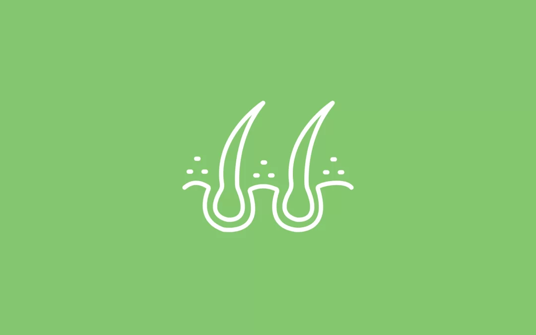 Nutrition for a Healthy Scalp