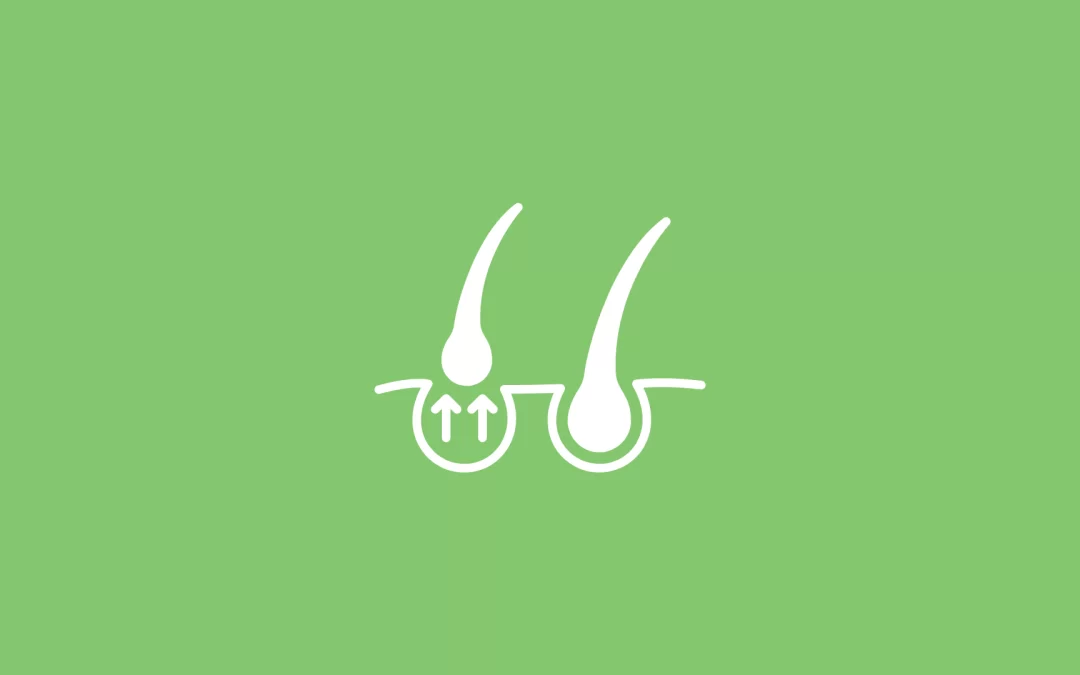 Superfoods for Scalp Health